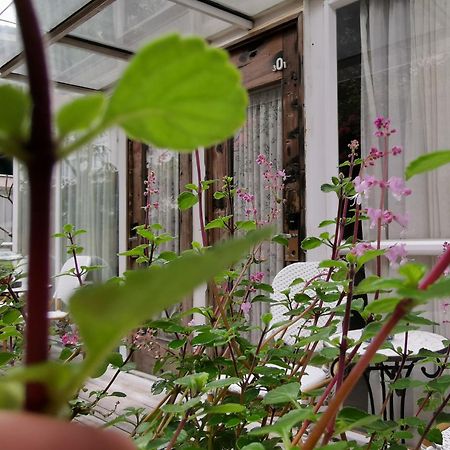 Shenzhen No'6 Garden Villa --French Window With Garden View,Close To Sea World &Shekou Ferry Port &K11 Ecoast &Subway Nearby ,Offer Western Food And Coffee &English Speaking With Tour Services מראה חיצוני תמונה