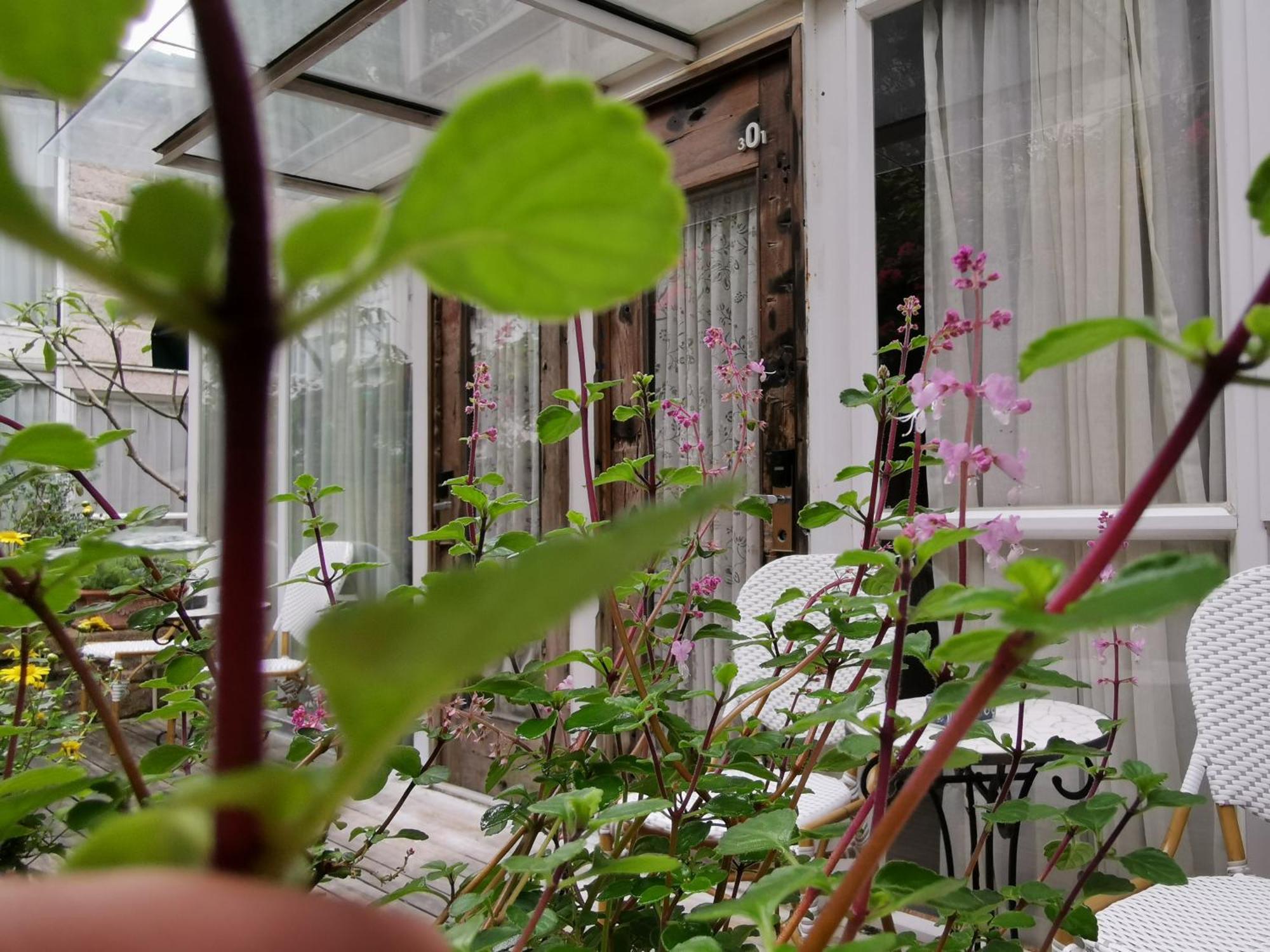 Shenzhen No'6 Garden Villa --French Window With Garden View,Close To Sea World &Shekou Ferry Port &K11 Ecoast &Subway Nearby ,Offer Western Food And Coffee &English Speaking With Tour Services מראה חיצוני תמונה